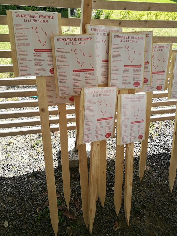 pihakirppis2019